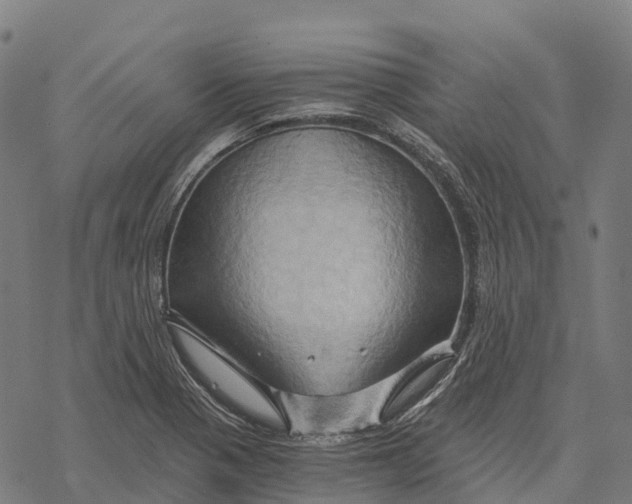 X0000068861321200605261721