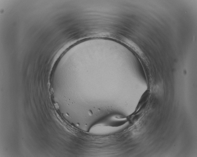 X0000068861332200605261721