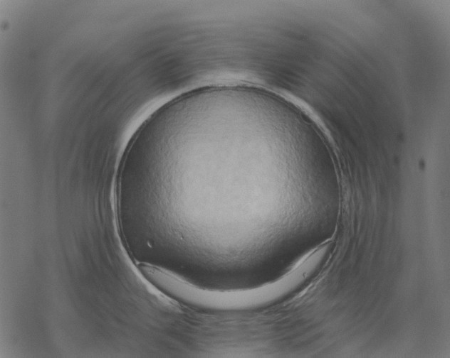 X0000068861343200605261721