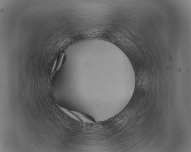 X0000068861346200605261720
