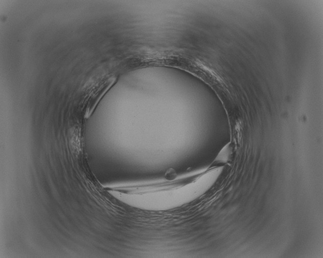 X0000068861348200605261720