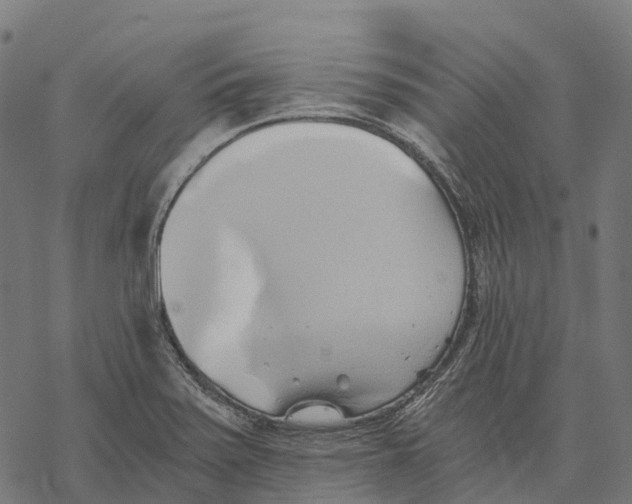X0000068861371200605261720