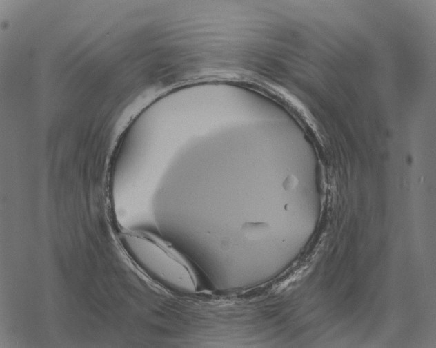 X0000068861373200605261720