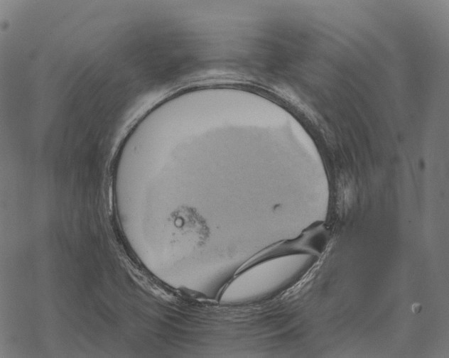 X0000068861413200605261719
