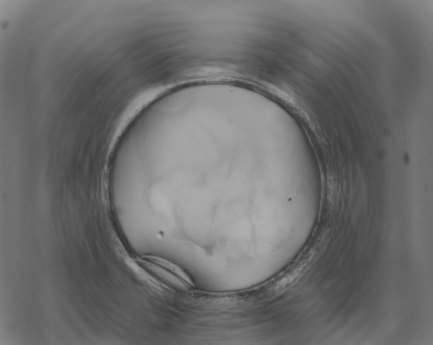 X0000068861421200605261719