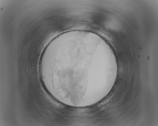 X0000068861423200605261719