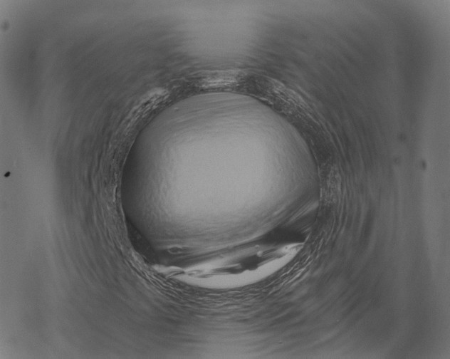 X0000068861441200605261719
