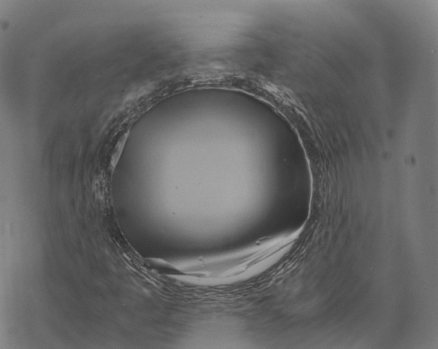 X0000068861445200605261719
