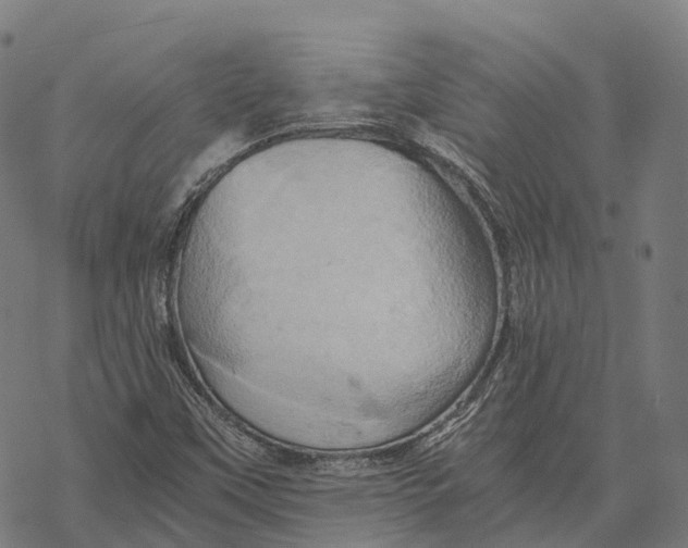 X0000068861451200605261718