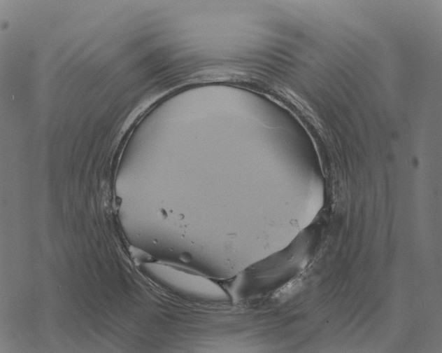 X0000068861465200605261718