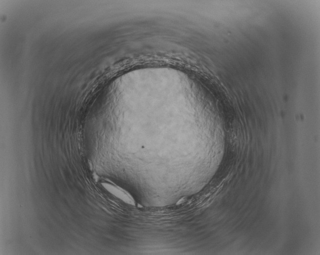 X0000068861490200605261717