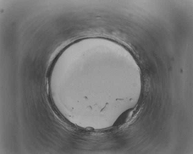 X0000068861509200605261717