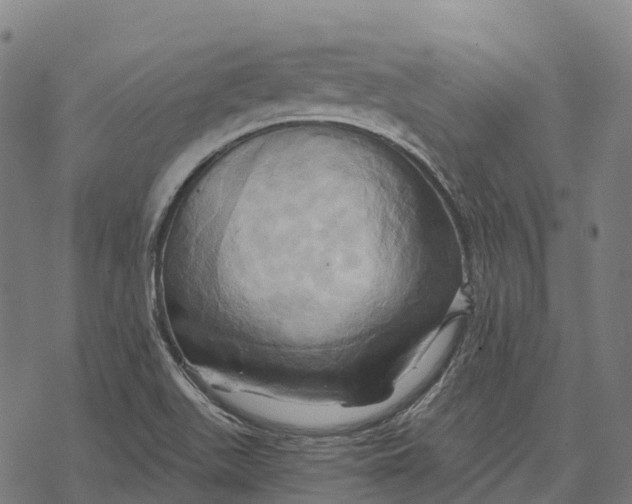 X0000068861511200605261717