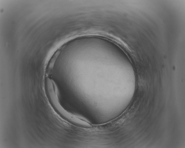 X0000068861512200605261717