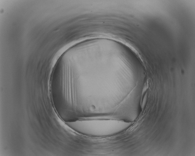 X0000068861535200605261718