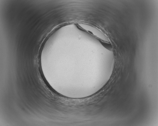 X0000068860002200606021813