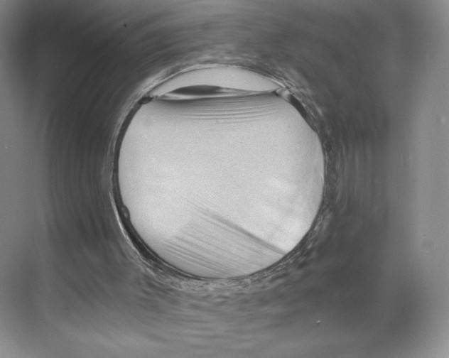 X0000068860003200606021813