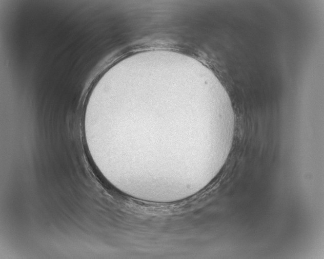 X0000068860004200606021813