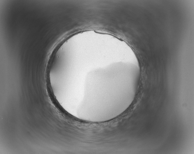 X0000068860007200606021813