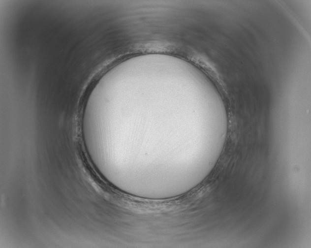 X0000068860012200606021812