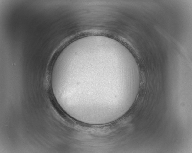 X0000068860016200606021812