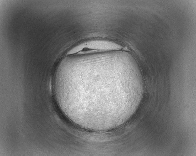 X0000068860024200606021812