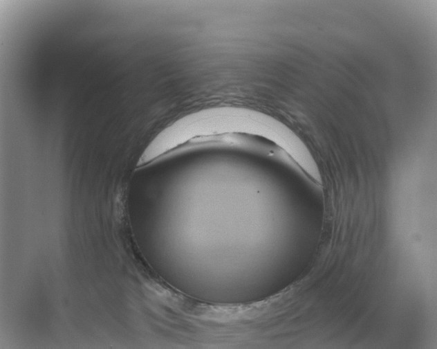 X0000068860037200606021812