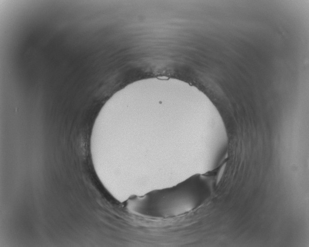 X0000068860039200606021812