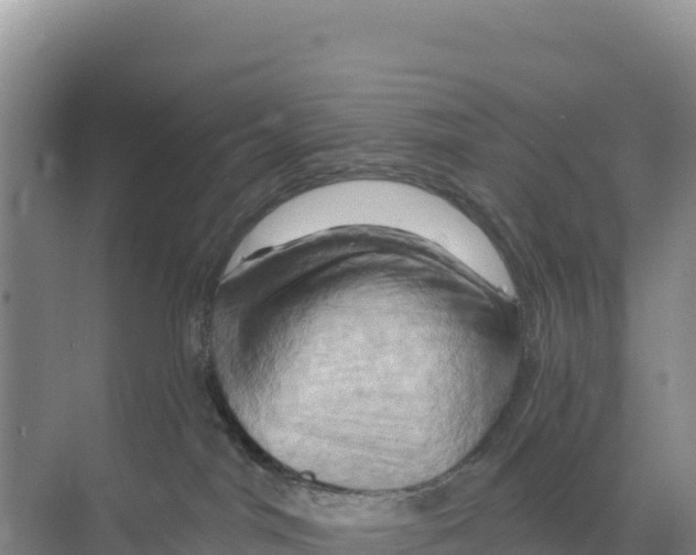 X0000068860044200606021812