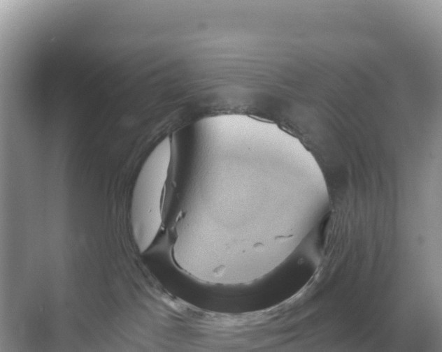 X0000068860045200606021812