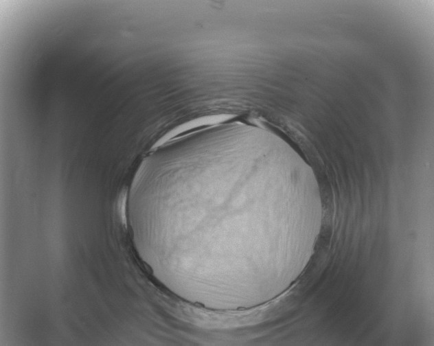 X0000068860047200606021812