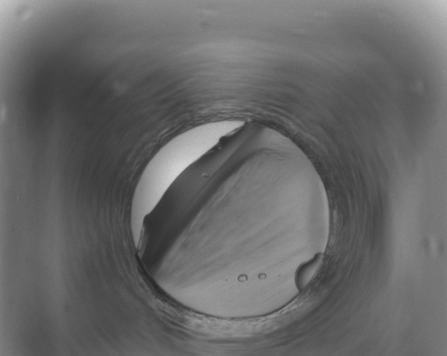 X0000068860048200606021812