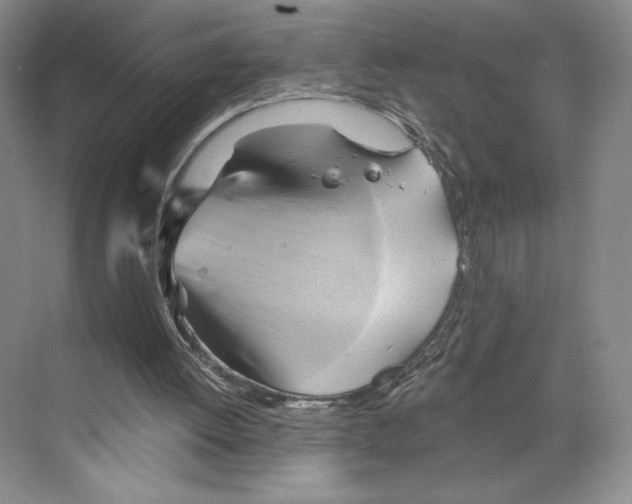 X0000068860052200606021811