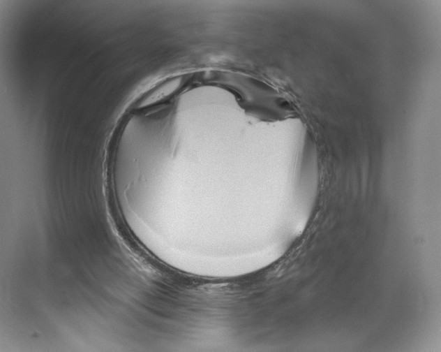 X0000068860054200606021811