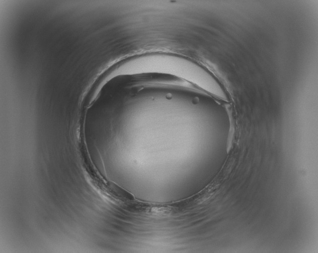 X0000068860060200606021811