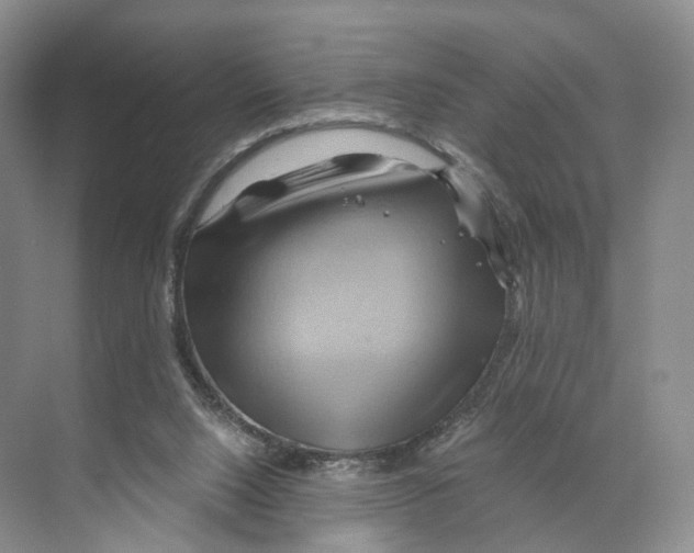 X0000068860064200606021811
