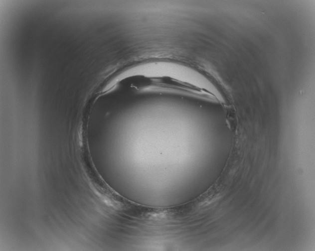 X0000068860068200606021811