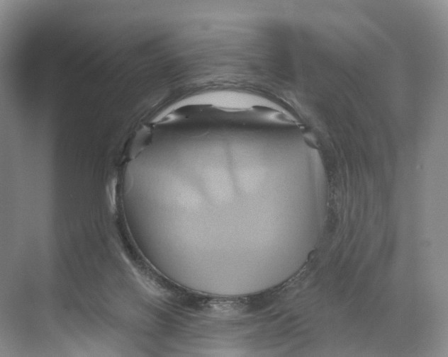 X0000068860070200606021811