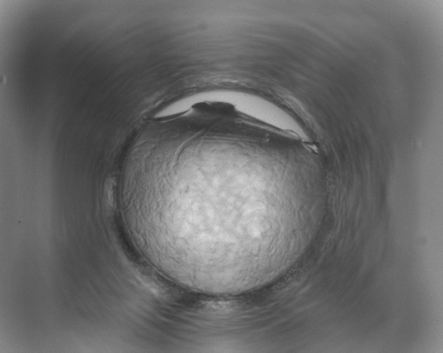 X0000068860071200606021811