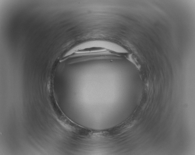 X0000068860072200606021811
