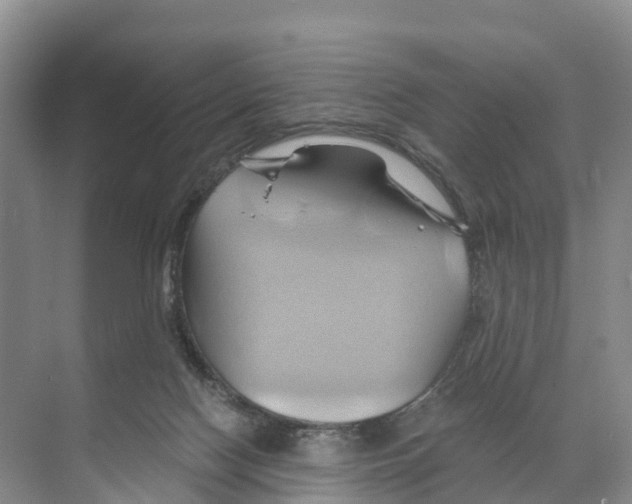 X0000068860074200606021811