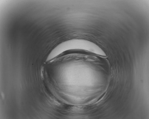 X0000068860094200606021812