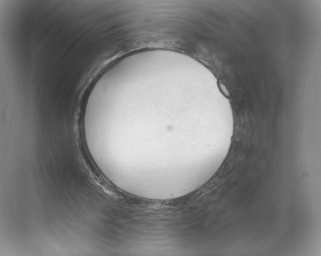 X0000068860098200606021811