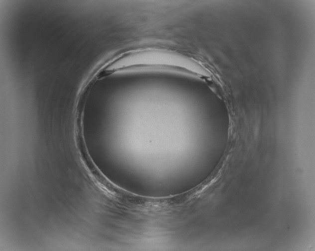 X0000068860101200606021811
