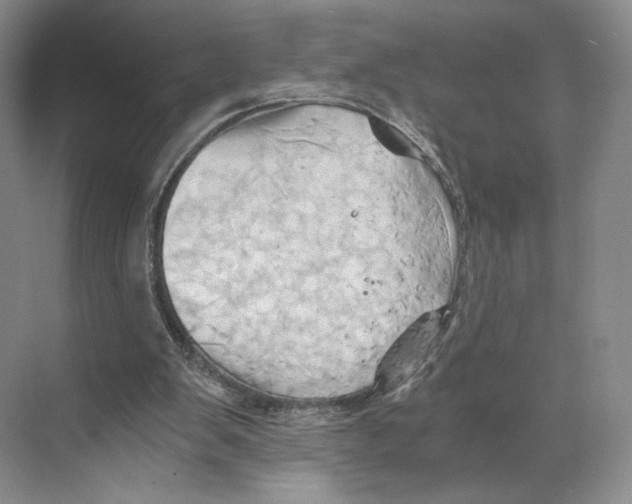 X0000068860103200606021811