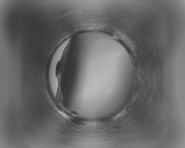 X0000068860105200606021811