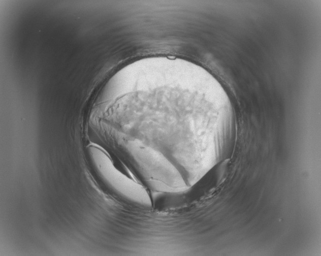 X0000068860107200606021811