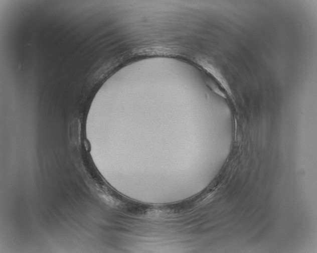 X0000068860109200606021811