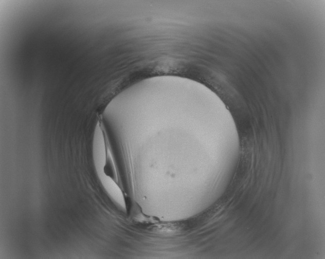 X0000068860127200606021811