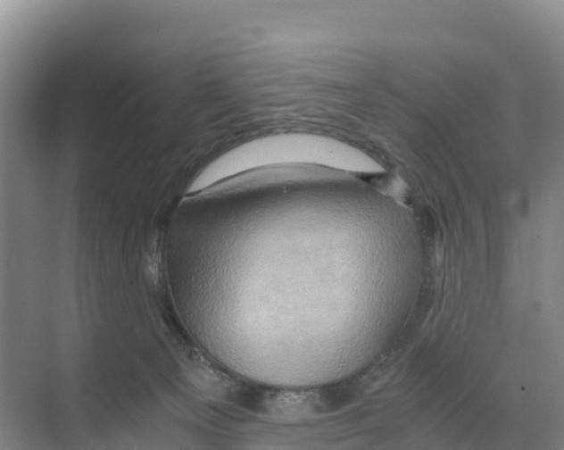 X0000068860129200606021810